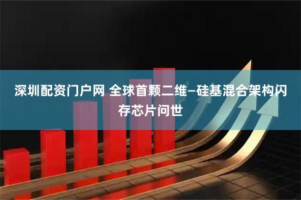 深圳配资门户网 全球首颗二维—硅基混合架构闪存芯片问世